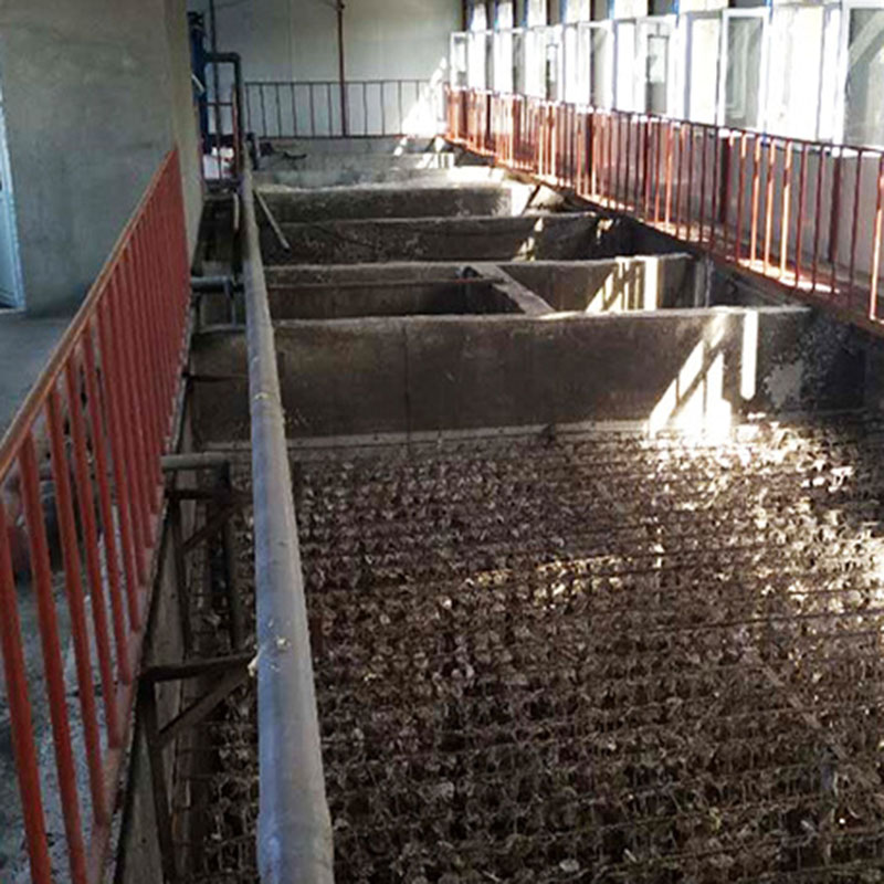 江西贛州養豬場污水處理設備案例